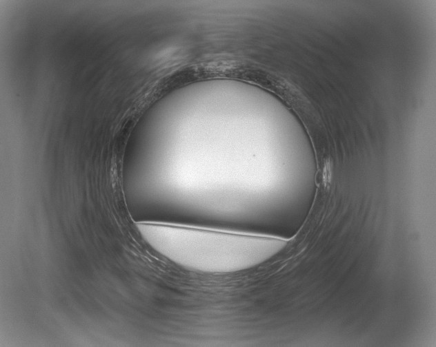 X0000080181299200612081123