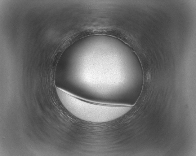 X0000080181300200612081123