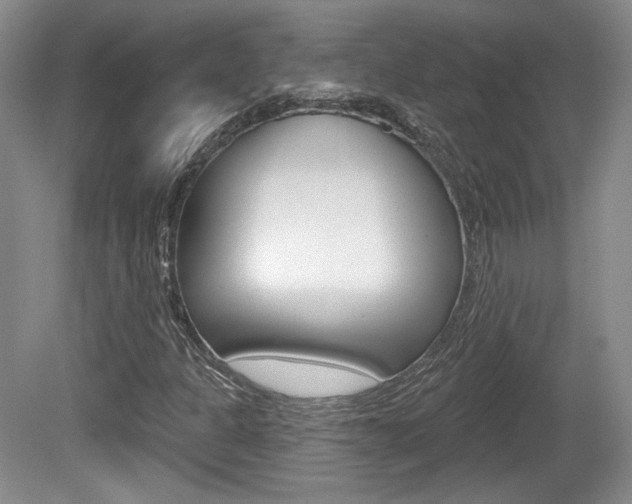 X0000080181301200612081123
