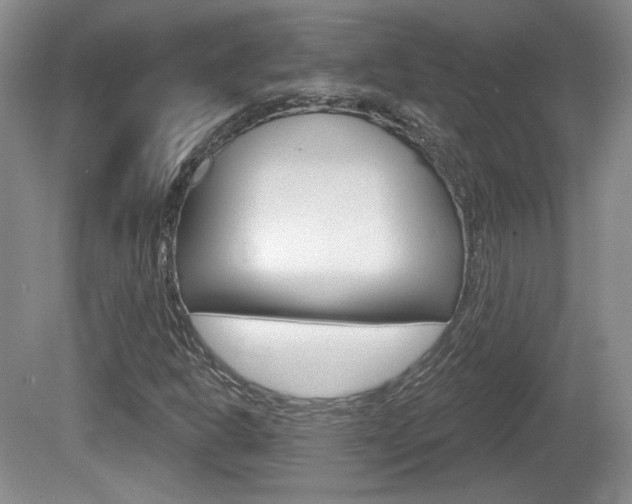X0000080181302200612081123