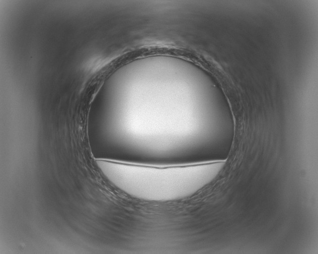 X0000080181303200612081123