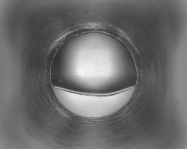 X0000080181304200612081123