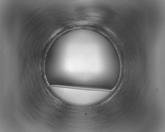 X0000080181305200612081123