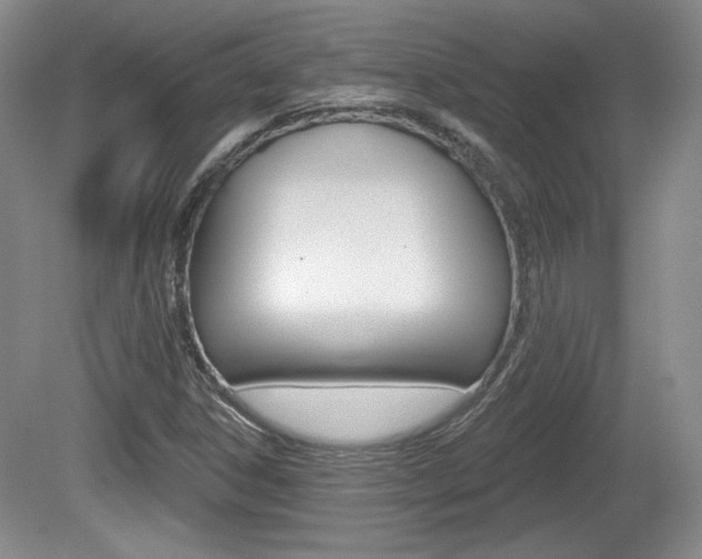 X0000080181306200612081123