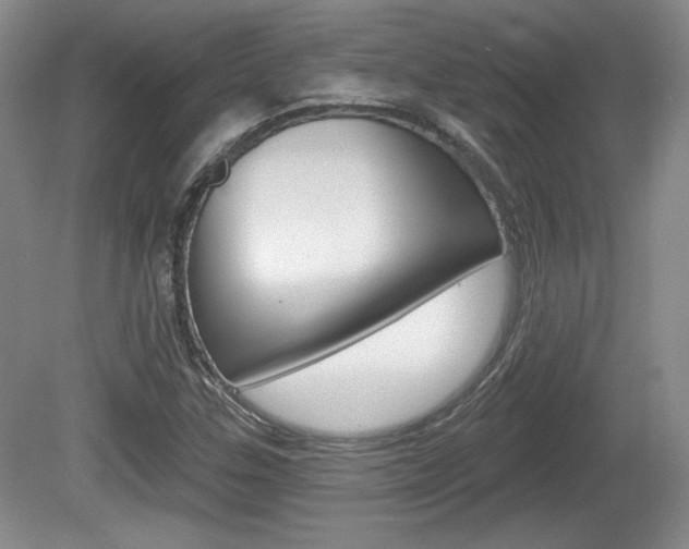 X0000080181307200612081123