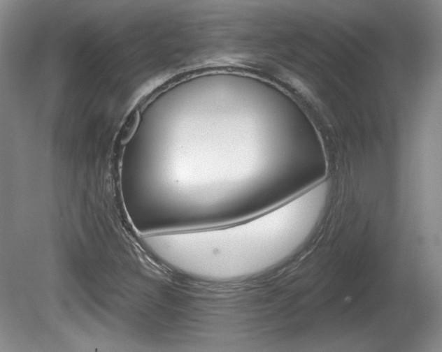 X0000080181308200612081123