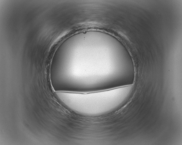 X0000080181309200612081123