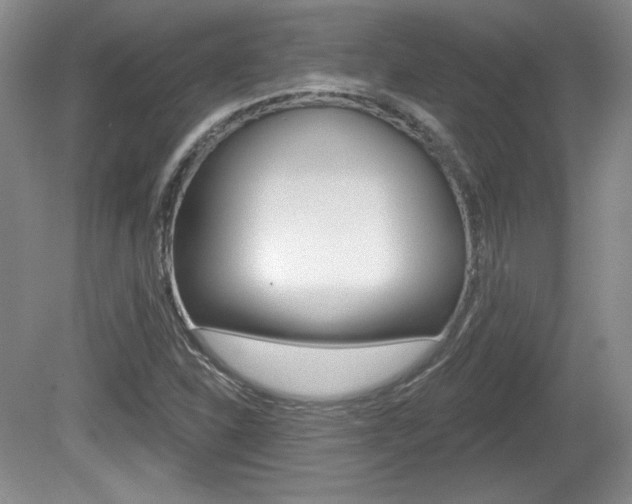 X0000080181310200612081123