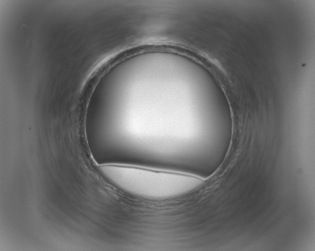 X0000080181311200612081123