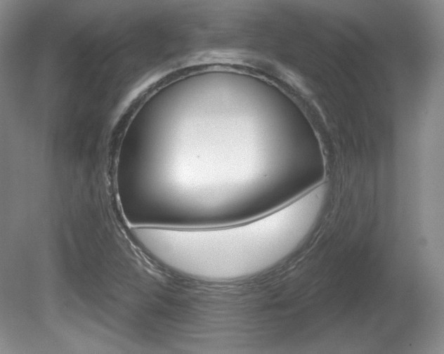 X0000080181312200612081123