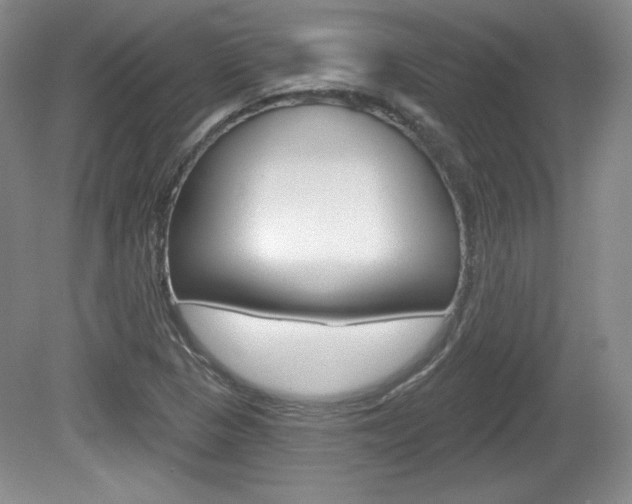 X0000080181313200612081123