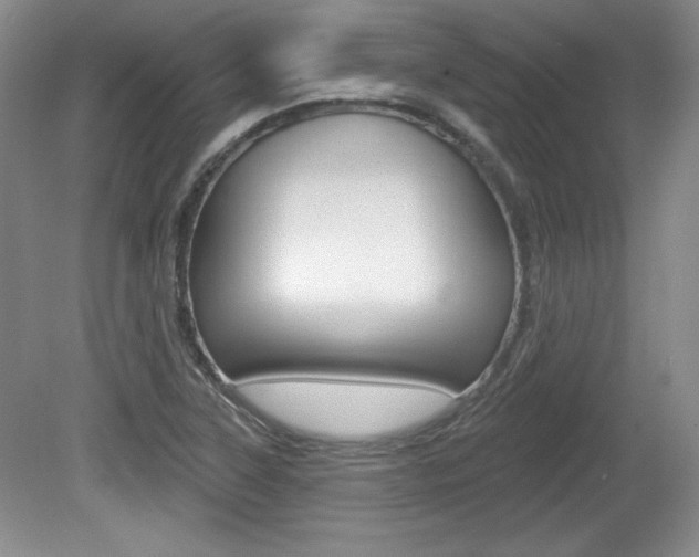 X0000080181315200612081123