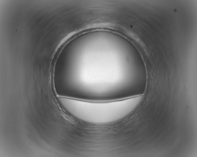 X0000080181316200612081123