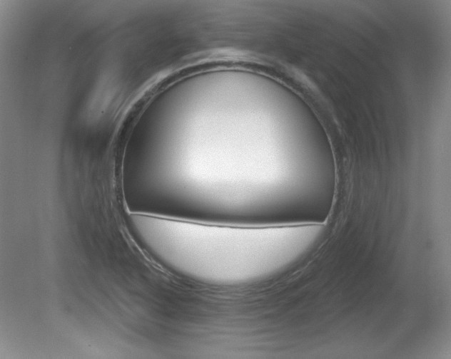 X0000080181318200612081123