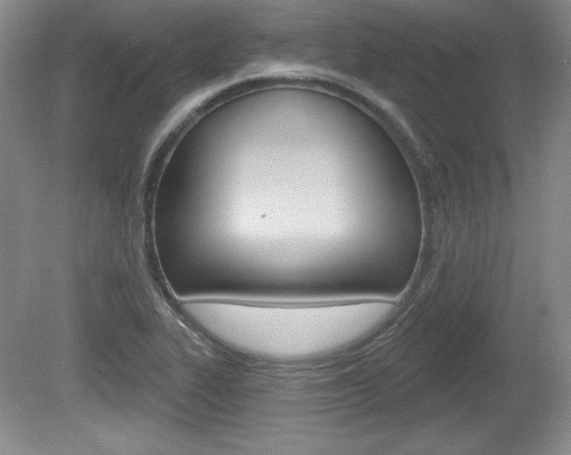X0000080181319200612081123