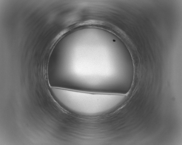 X0000080181321200612081124