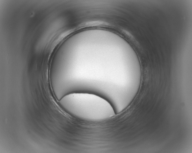 X0000080181322200612081124