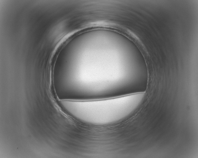 X0000080181323200612081124