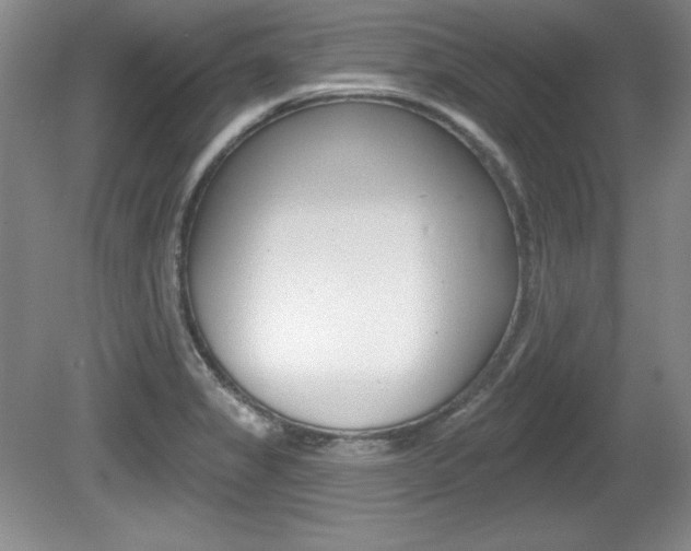 X0000080181325200612081124