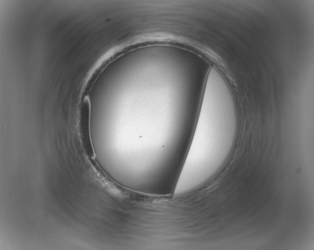 X0000080181326200612081124