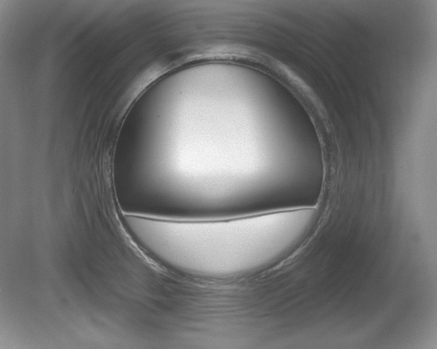 X0000080181329200612081124