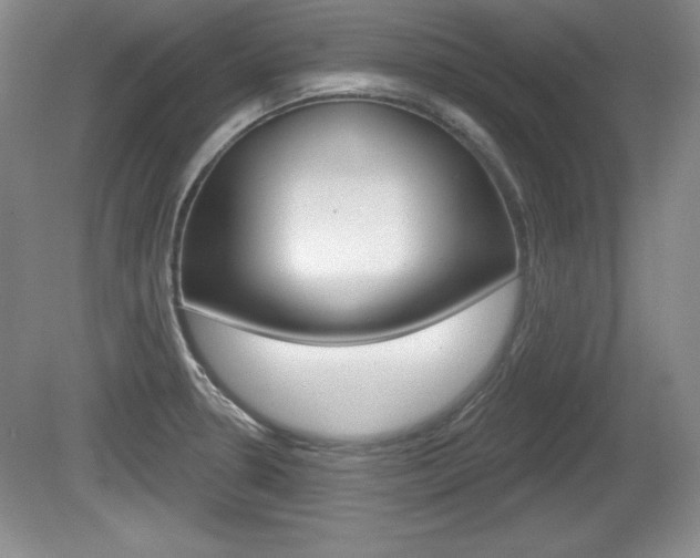 X0000080181330200612081124