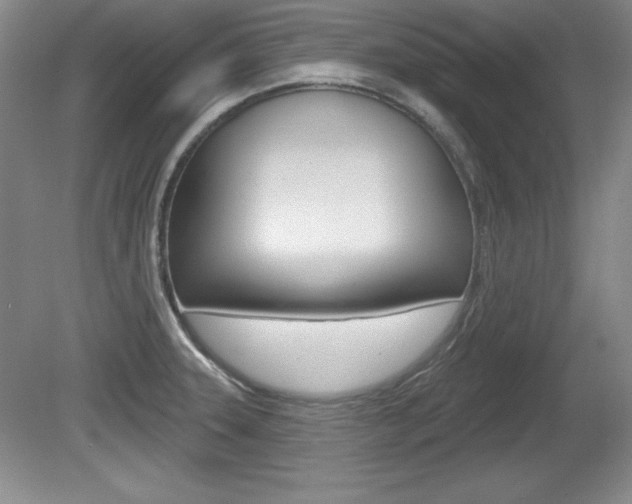 X0000080181331200612081124