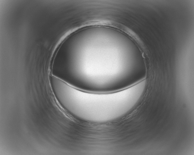 X0000080181332200612081124