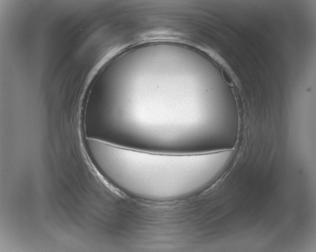 X0000080181333200612081124