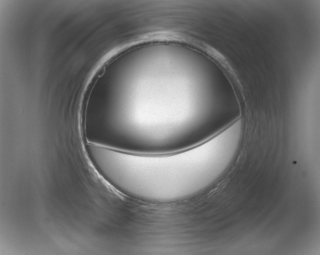 X0000080181334200612081124