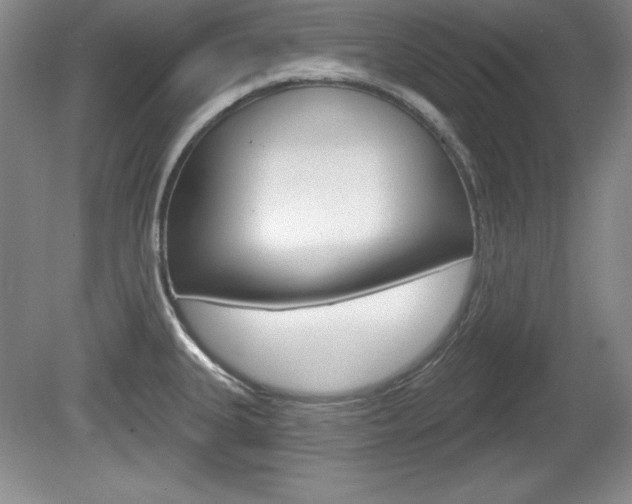 X0000080181335200612081124