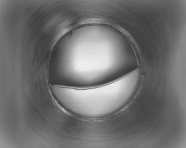 X0000080181337200612081124
