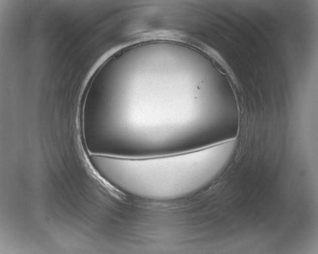 X0000080181339200612081124