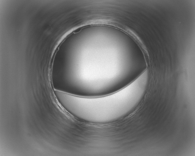 X0000080181340200612081124