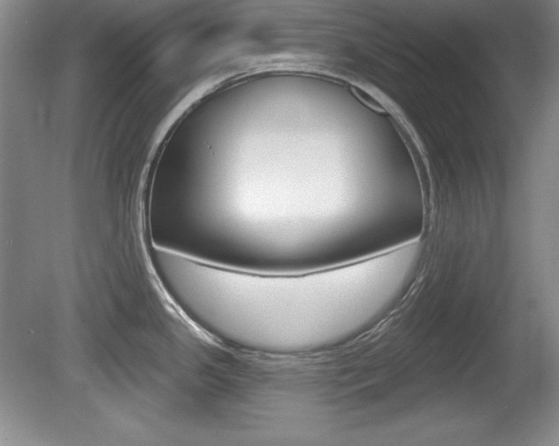 X0000080181341200612081124