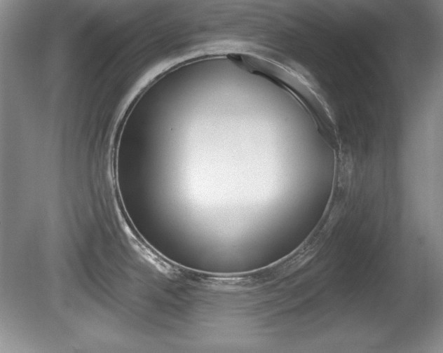 X0000080181342200612081124