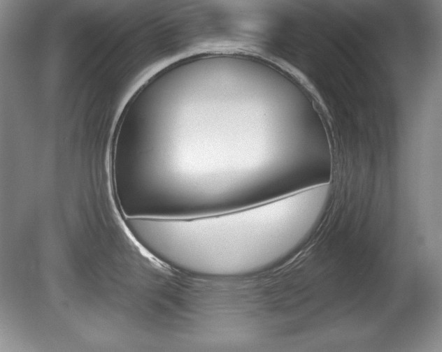 X0000080181343200612081124