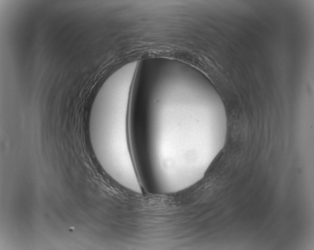 X0000080181345200612081123