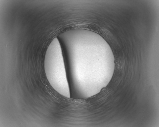 X0000080181346200612081123