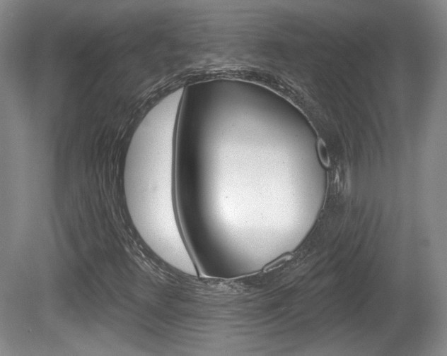 X0000080181348200612081123