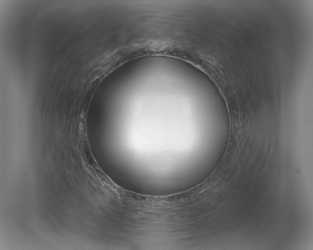 X0000080181349200612081123