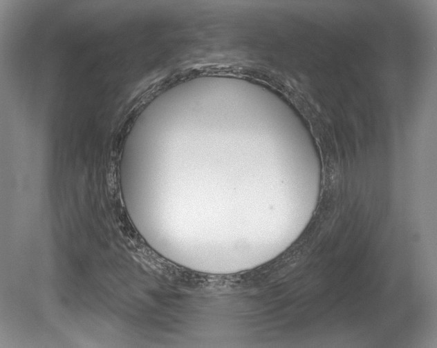 X0000080181350200612081123