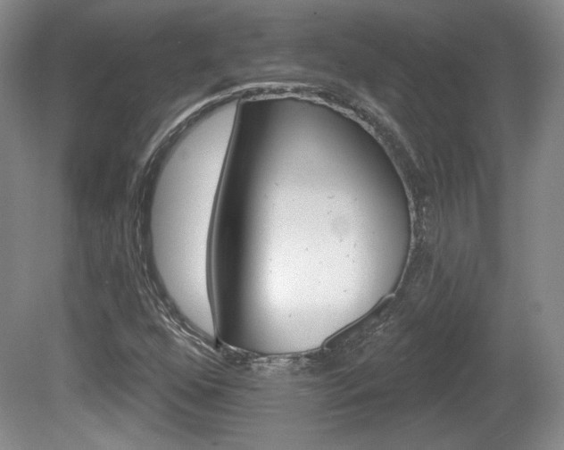X0000080181352200612081123