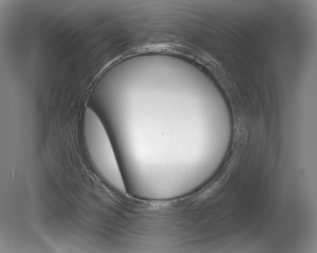 X0000080181353200612081123