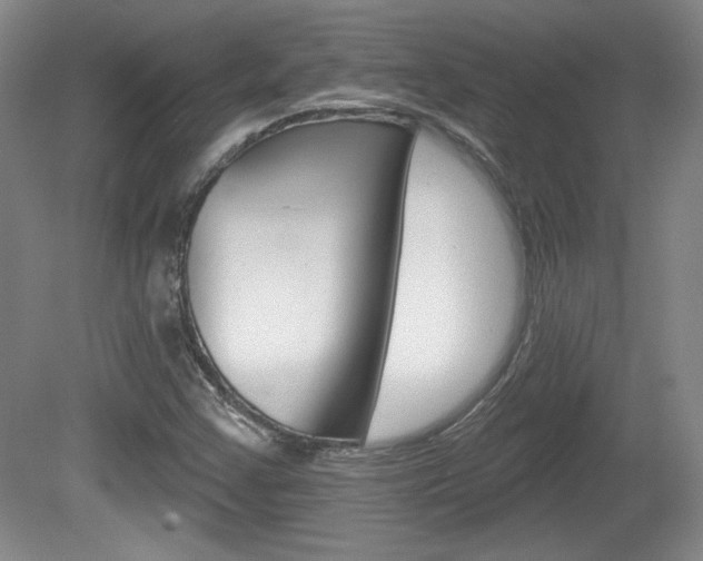 X0000080181355200612081123