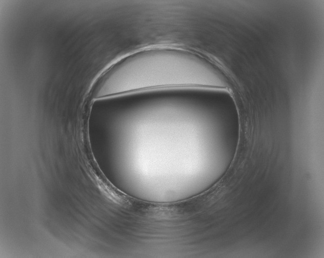 X0000080181356200612081123