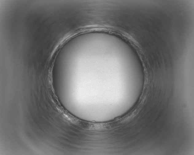 X0000080181357200612081123