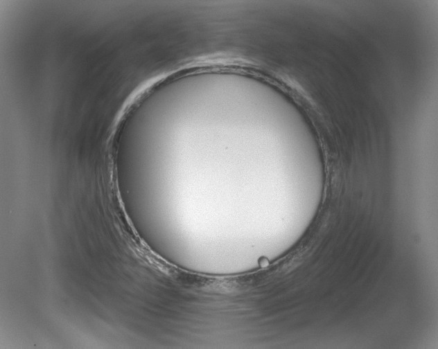 X0000080181358200612081123