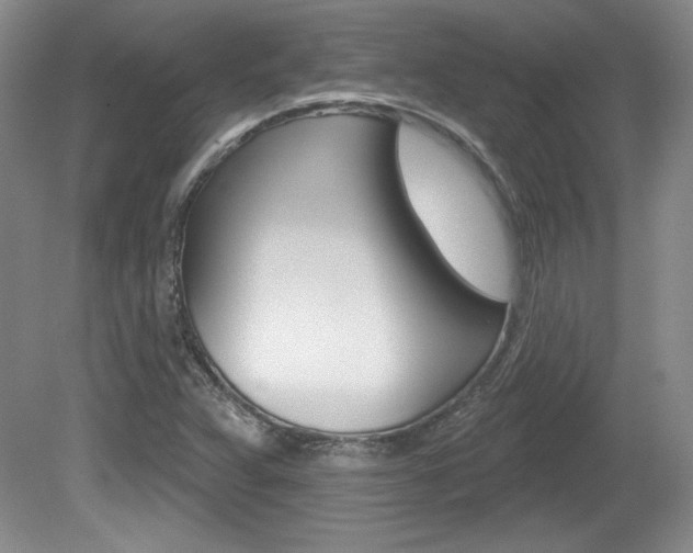 X0000080181359200612081123