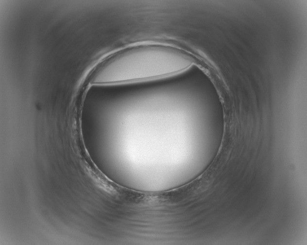 X0000080181360200612081123